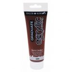 acrylic paints graduate daler rowney burnt umber