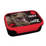 Dinosaur lunch box