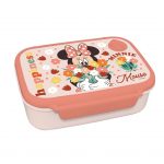 minnie lunch box set2